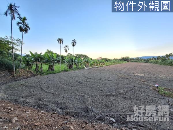 壽豐鄉 | 都內鯉魚山下遼闊豐沃小農地