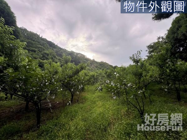 東勢大雪山國家森林入口可露營區農地