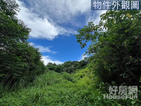 白河交流道旁臨三米產業道路1甲1農地