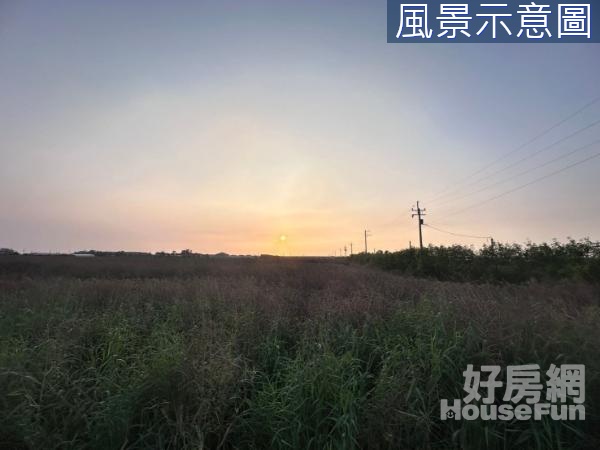 台南將軍台61交流道方正便宜優質農地