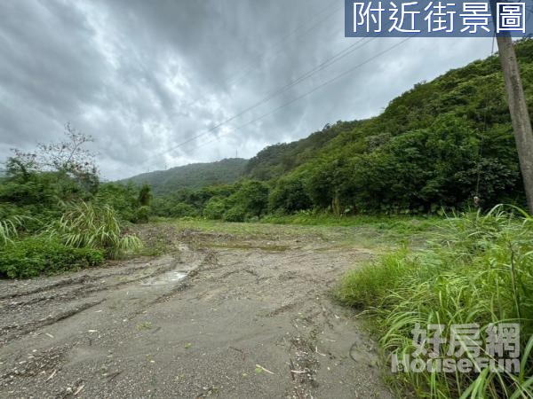 近冬山老街大地坪林業用地