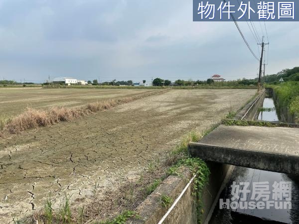 台南善化茄拔近庄頭休閒農地