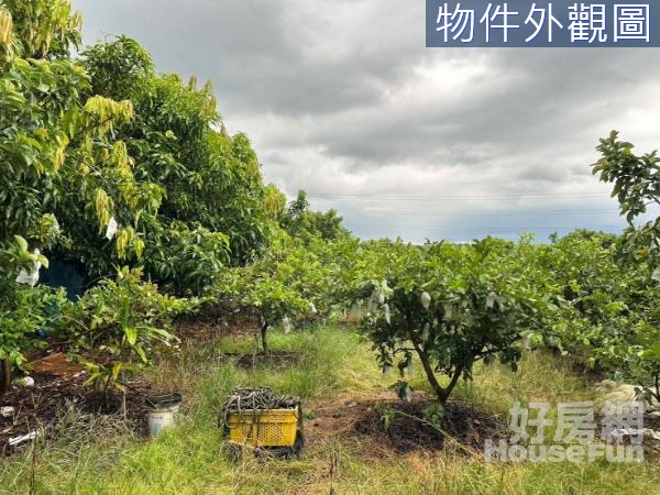 山上區1.2甲有水電農地