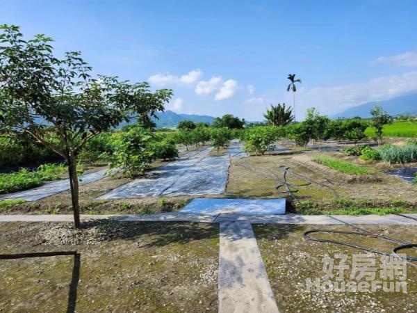 花蓮光復679農地附合法資材室買屋賣屋請找三峽阿惠