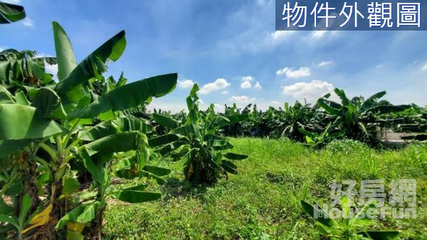 🦢屏東市公館國小休閒農地(U1)有電有鄰居