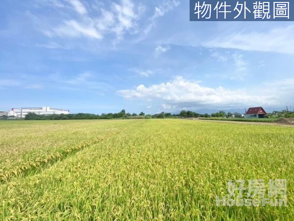 宜蘭市運動公園旁珍珠段方正開心小農地