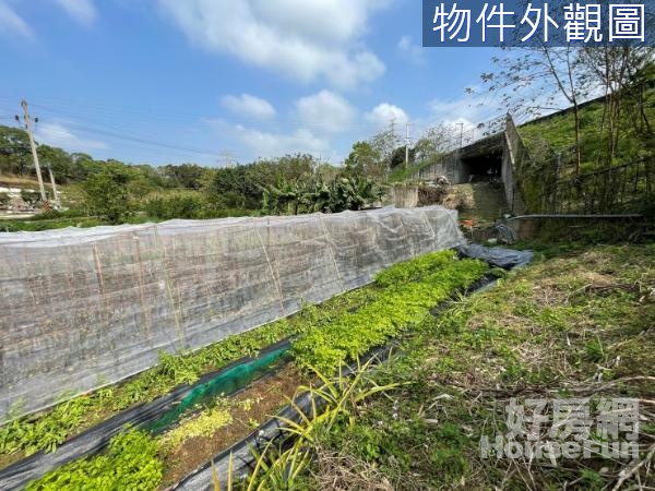 頭份交流道【專任】湳湖段大坪數農地(A)