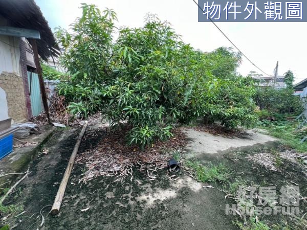 ✴️太平蛋黃區住一建地臨路好規劃