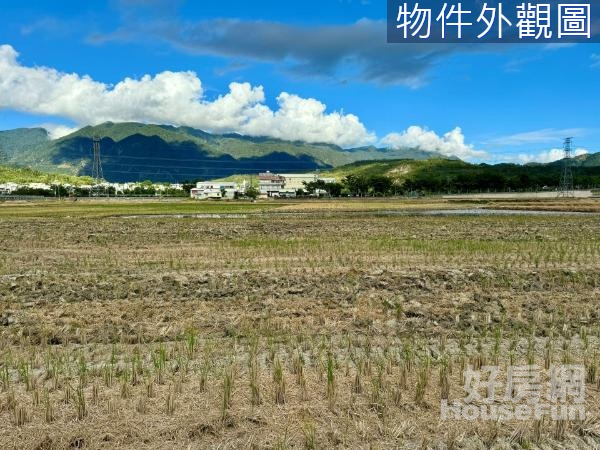 🌱富里富南縱谷景色優質肥沃美農地🌱