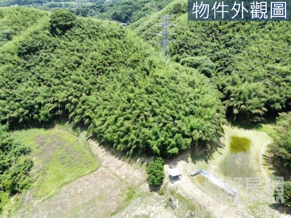 專任銅鑼鄉新雞隆段超大環湖農林山坡保育地