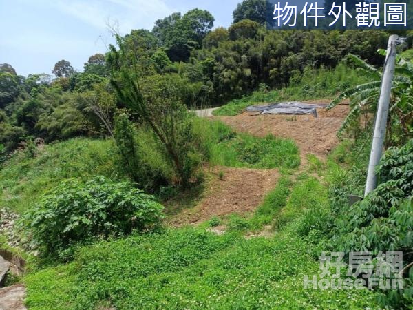 石岡三分半休閒農地~入口已花錢整地成平台