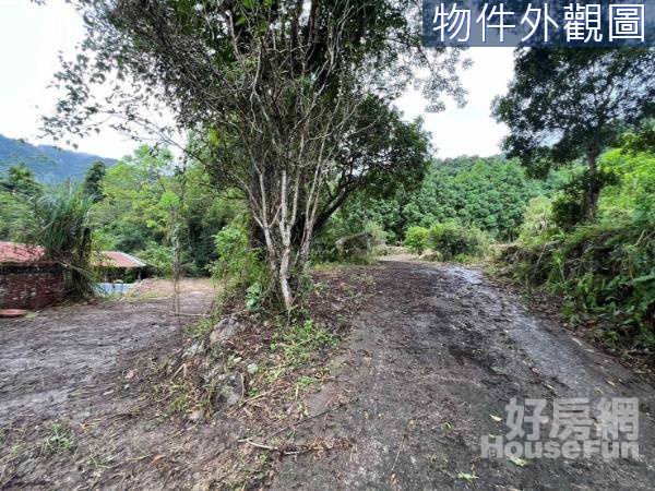 📌南庄📌露營休閒用地含丙建A(需與B一起買)