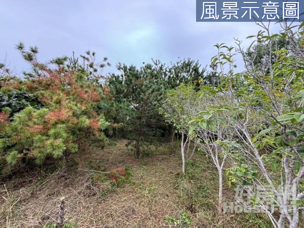 🌱草屯大馬路旁｜雙面臨路方正農地｜近國道