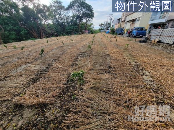 專任大肚自由路旁休閒農地可申請資材室水電門牌