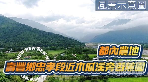 花蓮壽豐忠孝段都內方正香蕉園農地 (B）⛰