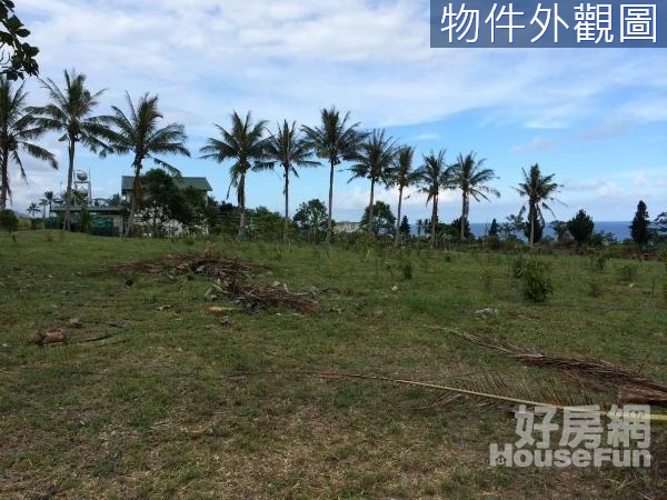 台東東河雙臨路方正休閒美農地