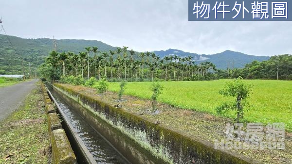 🌾光復富豐段前後臨路景觀低價農地🌾