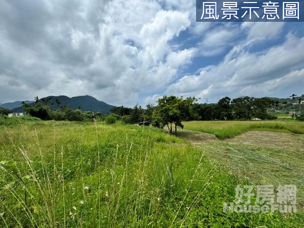 新竹橫山田洋路大面寬農地