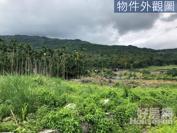 花蓮瑞穗柚鄉園農場旁丙建+農地