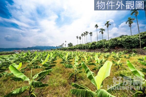 🌱草屯臨路4米丨621坪方正農地近國6下來就到