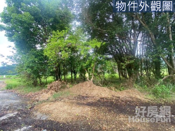 6275花蓮光復富豐段台9縣近富源國中農牧用地