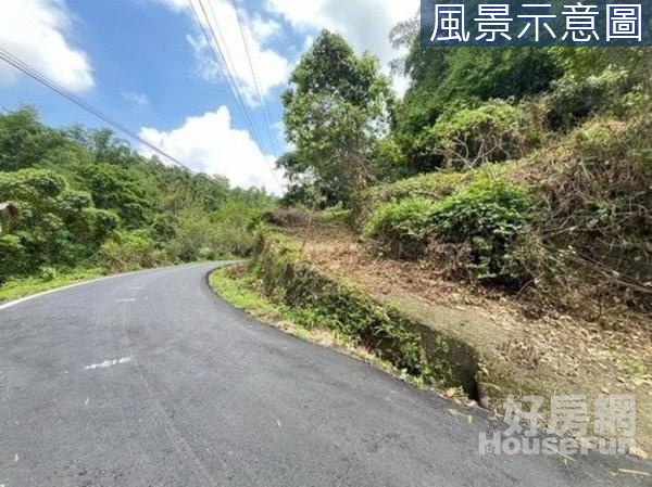 鹿谷鄉初鄉段中村巷臨路4.1甲林業用地