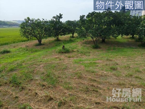 雲科園區農建地