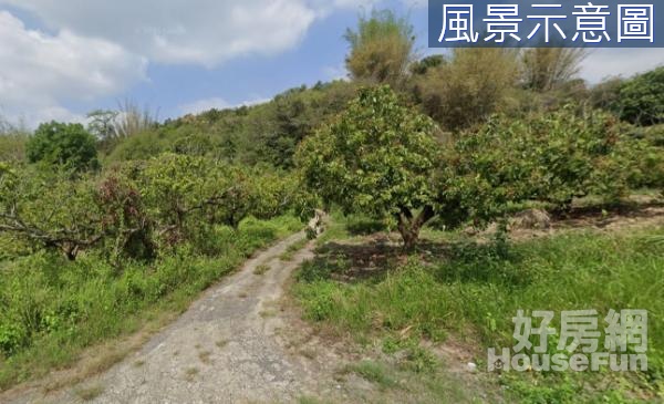 ★內門1甲半山坡地保育區農牧用地★