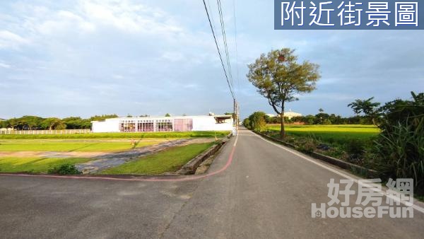 觀音向陽農場旁美田地