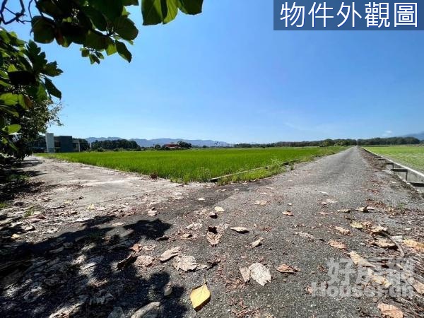 🌸 花蓮鳳林｜臨路臨溝｜足坪方正農地｜⛰️