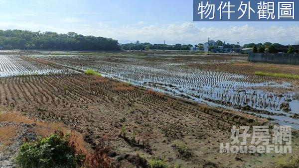 近冬山河農地