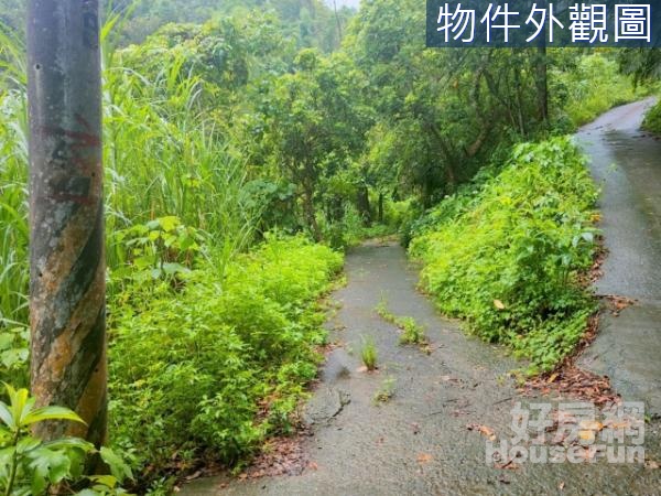 名間番子寮山坡地