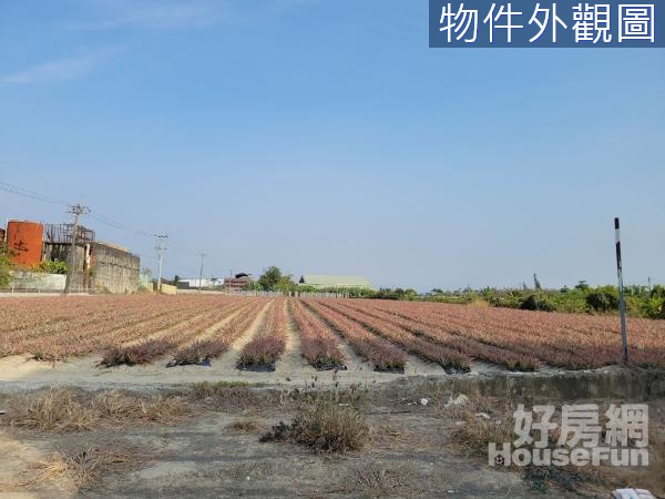 近大樹【姑山文化產業園區】建地+農地