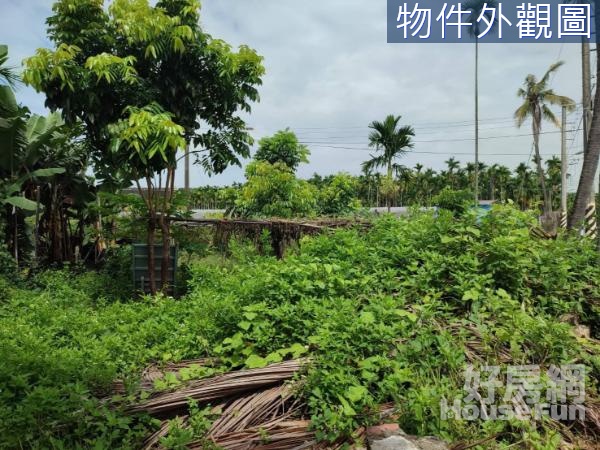 南州空氣清新休閒建地