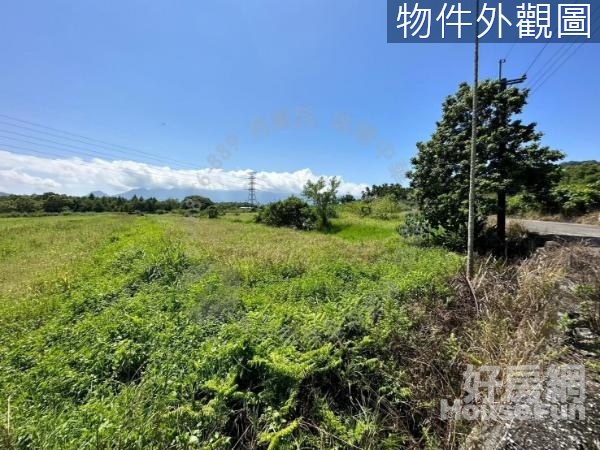 瑞祥雙面路方正農地 B287