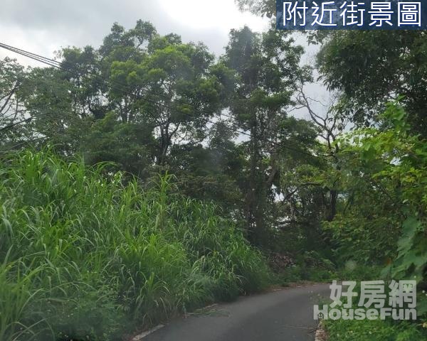 礁溪近九龍山小坪山坡地(A)