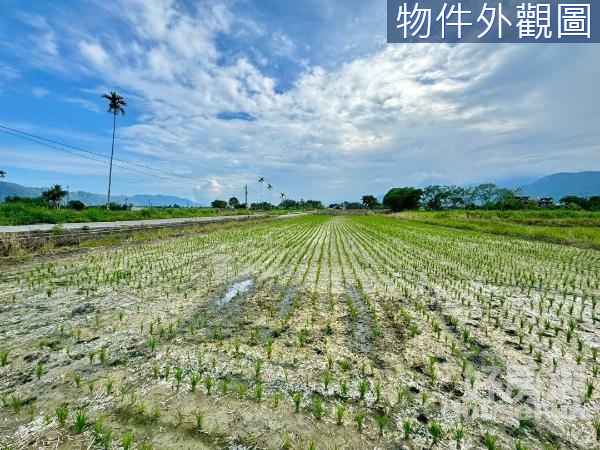 🌸壽豐鄉大面寬臨路臨溝很平坦足坪農地⛰️