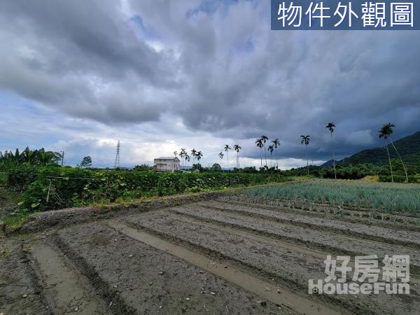 🌈吉安慶豐臨路足坪方正美農地🌈