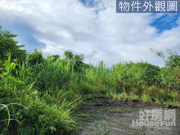 高雄六龜風景區~六龜大佛旁休閒養生農地