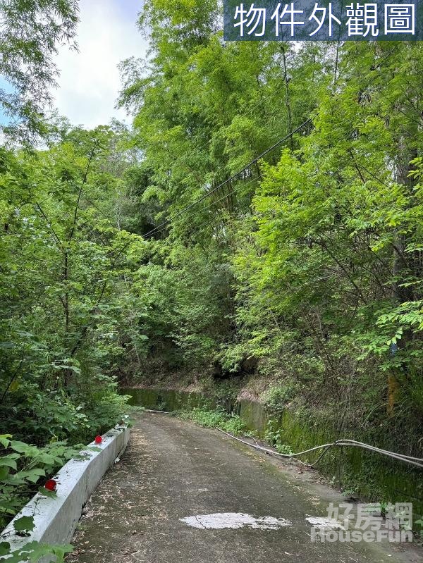 內門區溝坪段山坡地保育區農牧用地~碳權使用