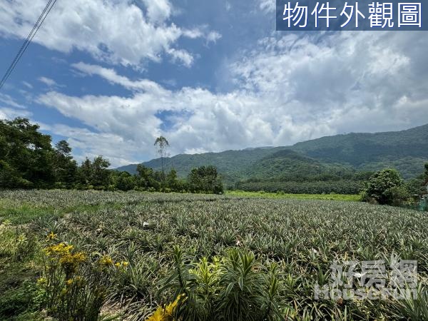 涼山山景｜笠頂山步道｜牛角灣溪｜內埔方正農地