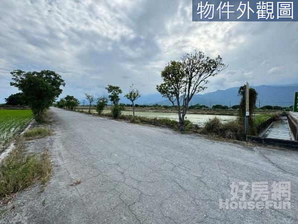 🌸壽豐大面寬有臨溝風景優美足坪農地B⛰️