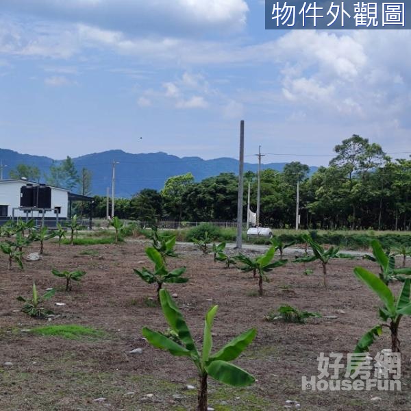 壽豐夢想莊園優質小筆美農地/有水有電(一)