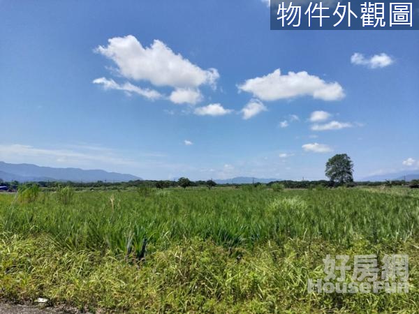 ~慢活鳳林~養身村地型方正~超美農地~