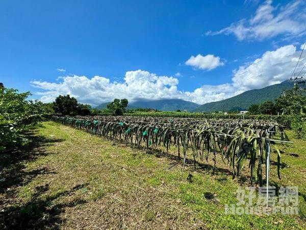 🌸知卡宣大道旁方正山景為伴平坦農地⛰️