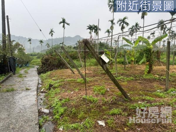 專簽苗栗卓蘭鎮市區方正小農地宜植果樹