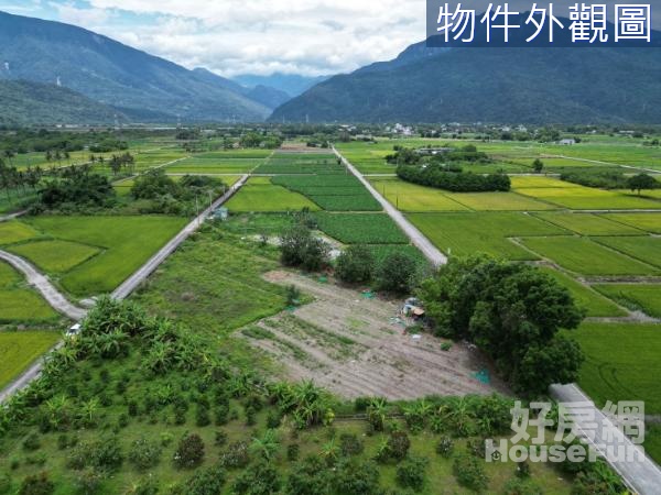 專售~吉安光華免填土足坪農地 F032