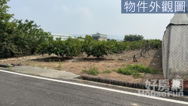 阿蓮都市計畫內面寬15米農業區農地