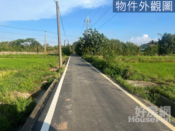 觀音藍埔美田437,觀音觀光蓮花園旁,投資美田!