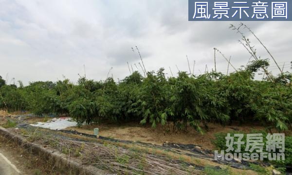 新化優質臨路747坪農地